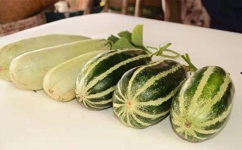 网红吃瓜.com,揭秘娱乐圈幕后故事，带你领略网络红人世界  第3张